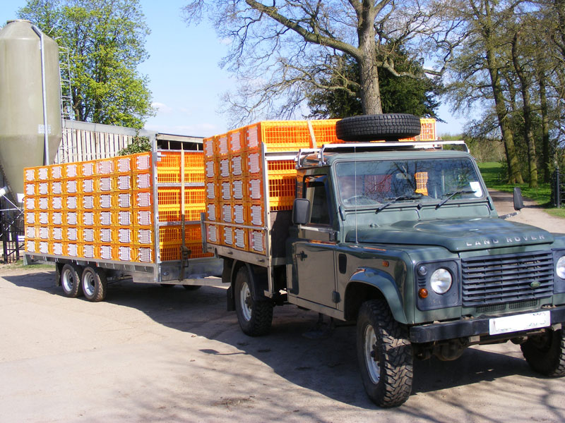 Landrover transporting birds